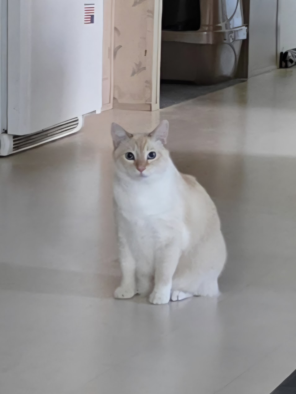Pet cared for by Starbaby Pet Care